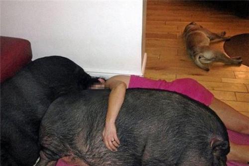 娱乐吃瓜酱女生统一逻辑,吃瓜酱女生们的统一逻辑与趣味解读